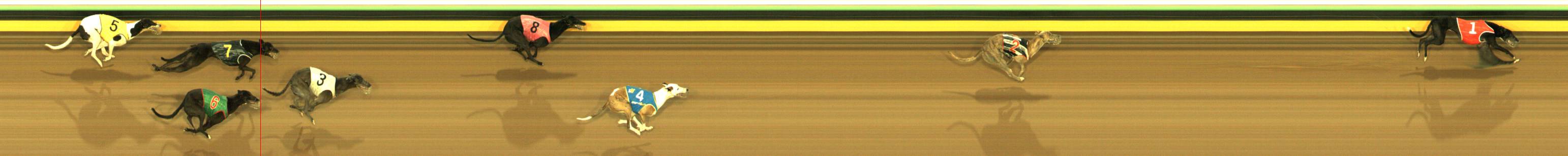 Race result finish photo